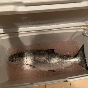 Meet your Posher, Matt